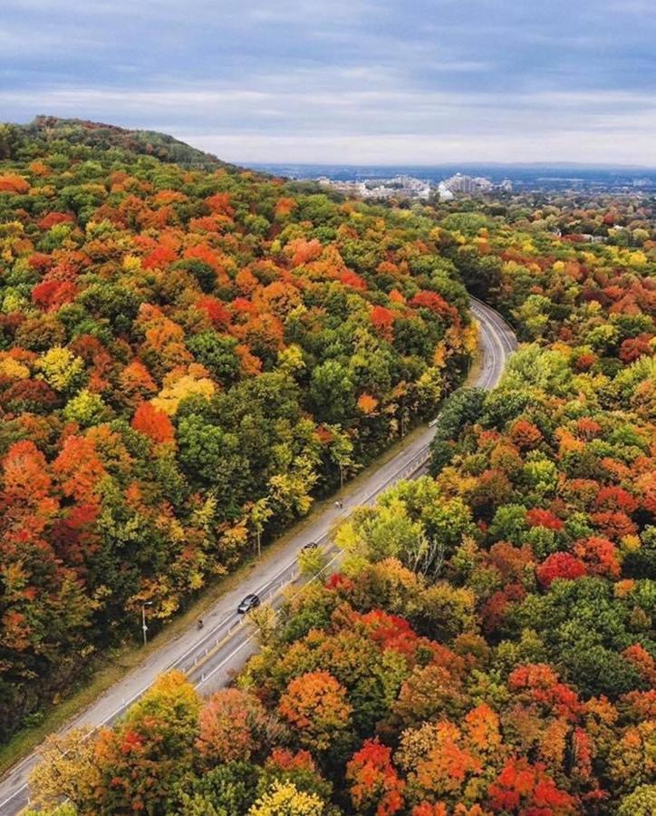 Hotel And Suites Les Laurentides サン・ソヴェ－ル・デ・モン エクステリア 写真